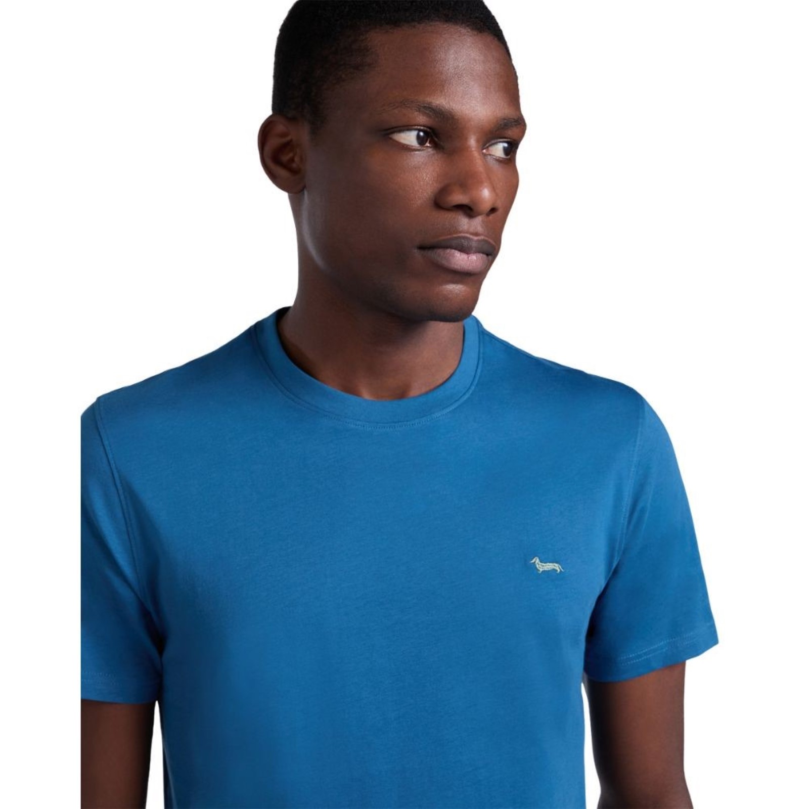uomo_abbigliamento_tshirt_harmontblaine_inq001021055p26_64940_7810_2_hd.jpg