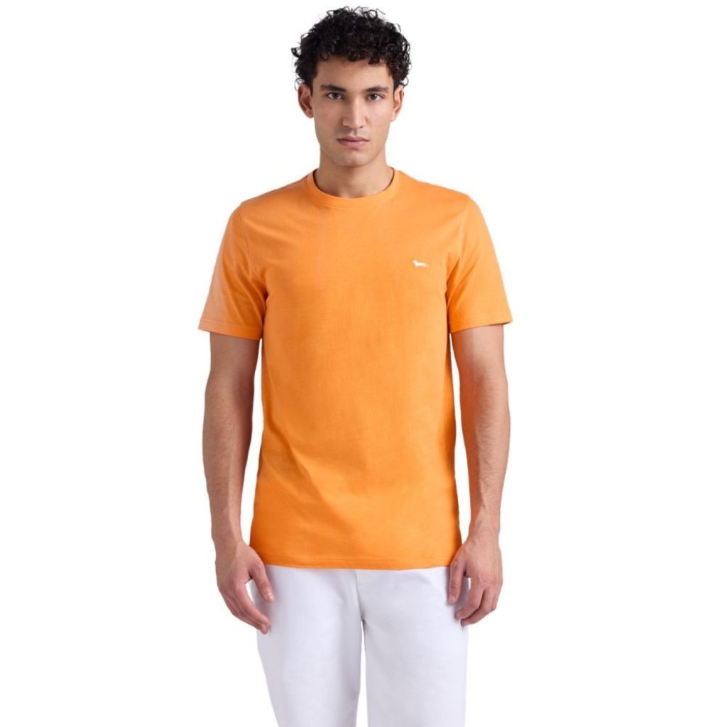 uomo_abbigliamento_tshirt_harmontblaine_inq001021055p26_64940_9928_1_hd.jpg