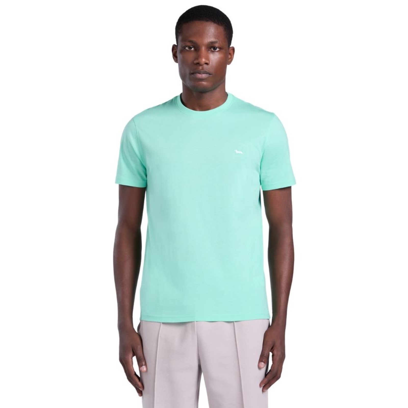 uomo_abbigliamento_tshirt_harmontblaine_inq001021055p26_64940_9929_1_hd.jpg