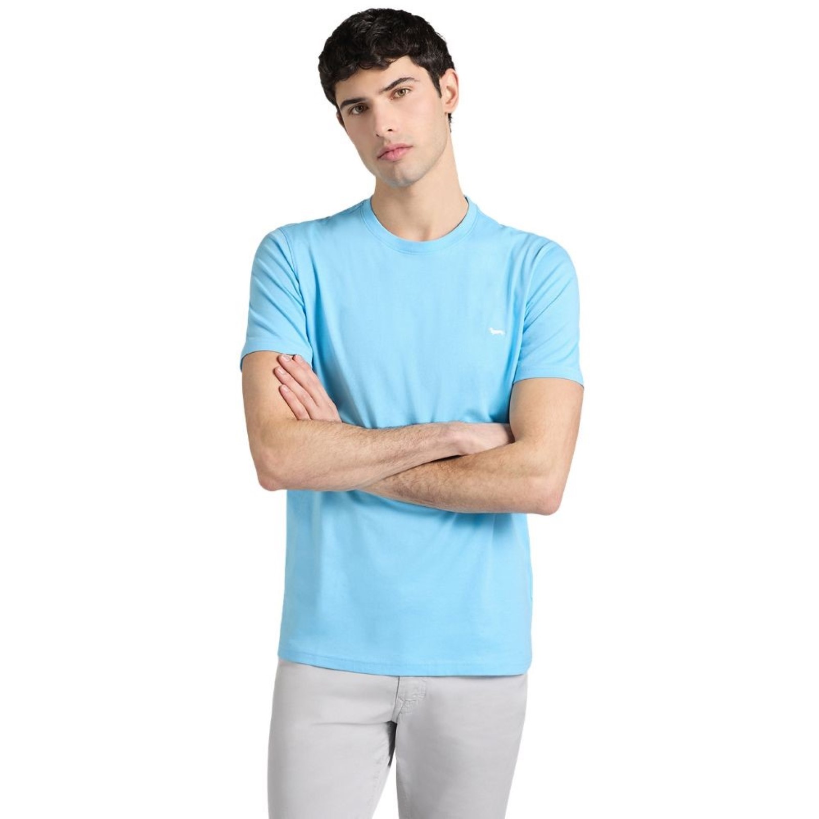 uomo_abbigliamento_tshirt_harmontblaine_inq001021055p26_64940_9930_1_hd.jpg