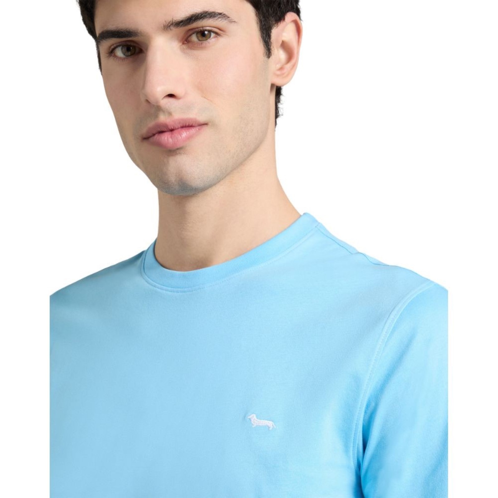 uomo_abbigliamento_tshirt_harmontblaine_inq001021055p26_64940_9930_2_hd.jpg