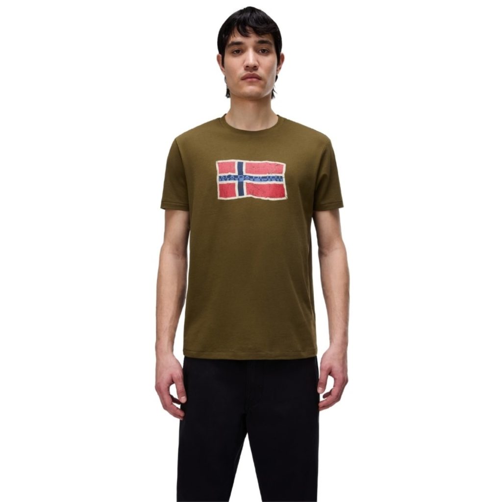 uomo_abbigliamento_tshirt_napapijri_np0a4fzbg3a1p26_89729_12674_1_hd.jpg