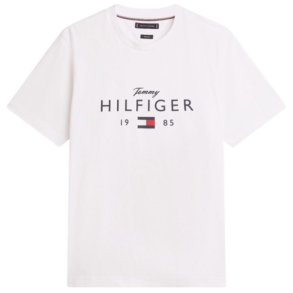 uomo_abbigliamento_tshirt_tommyhilfiger_mw0mw41455ybrp26_87260_6748_1_hd.jpg