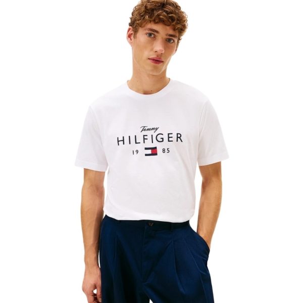 uomo_abbigliamento_tshirt_tommyhilfiger_mw0mw41455ybrp26_87260_6748_2_hd.jpg