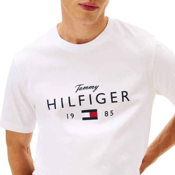 uomo_abbigliamento_tshirt_tommyhilfiger_mw0mw41455ybrp26_87260_6748_4_hd.jpg