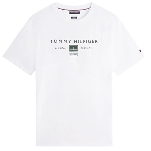 uomo_abbigliamento_tshirt_tommyhilfiger_mw0mw42365ybrp26_87285_6748_1_hd.jpg