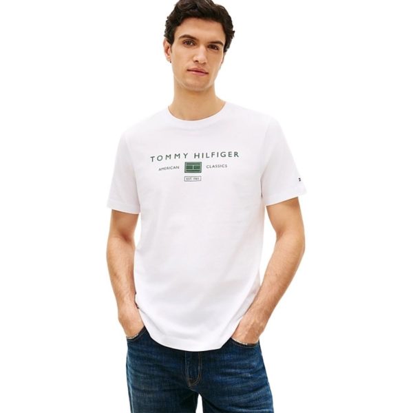 uomo_abbigliamento_tshirt_tommyhilfiger_mw0mw42365ybrp26_87285_6748_2_hd.jpg