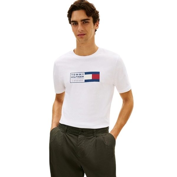 uomo_abbigliamento_tshirt_tommyhilfiger_mw0mw42366ybrp26_87288_6748_2_hd.jpg