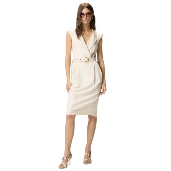 donna_abbigliamento_abiti_pinko_106565a2w6p26_2790_308_2_hd.jpg