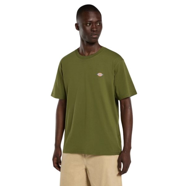 uomo_abbigliamento_tshirt_dickies_dk0a4xdbk721p26_49102_7943_2_hd.jpg