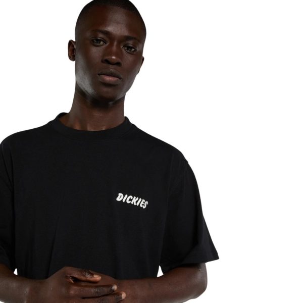 uomo_abbigliamento_tshirt_dickies_dk0a8853blk1p26_49112_551_2_hd.jpg