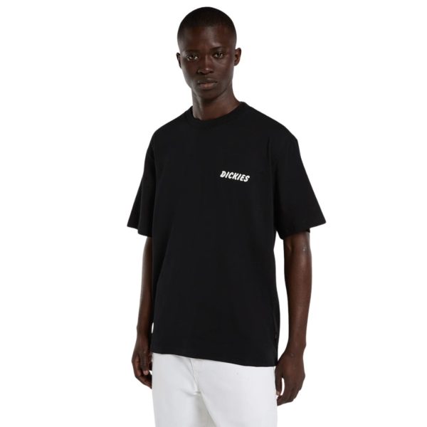 uomo_abbigliamento_tshirt_dickies_dk0a8853blk1p26_49112_551_3_hd.jpg