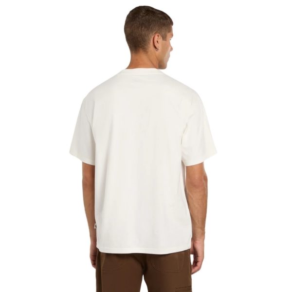 uomo_abbigliamento_tshirt_dickies_dk0a88jhc481p26_49128_7947_4_hd.jpg