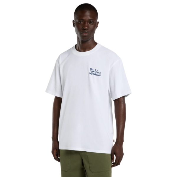 uomo_abbigliamento_tshirt_dickies_dk0a88jv0wh1p26_49130_3888_2_hd.jpg