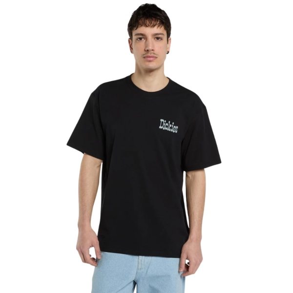 uomo_abbigliamento_tshirt_dickies_dk0a88jvblk1p26_49131_551_2_hd.jpg