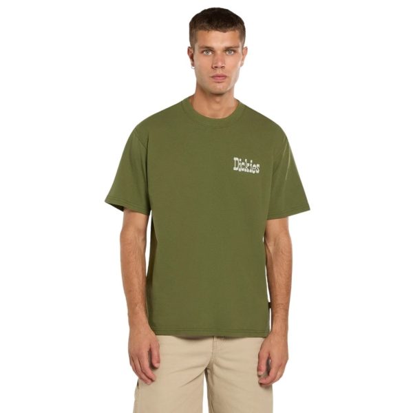 uomo_abbigliamento_tshirt_dickies_dk0a88jvk721p26_49132_7943_2_hd.jpg