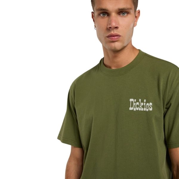 uomo_abbigliamento_tshirt_dickies_dk0a88jvk721p26_49132_7943_3_hd.jpg