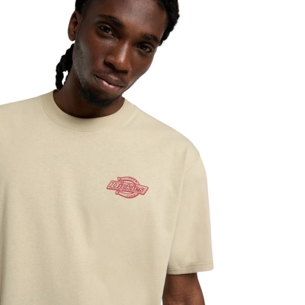 uomo_abbigliamento_tshirt_dickies_dk0a88jwl441p26_49134_7951_3_hd.jpg