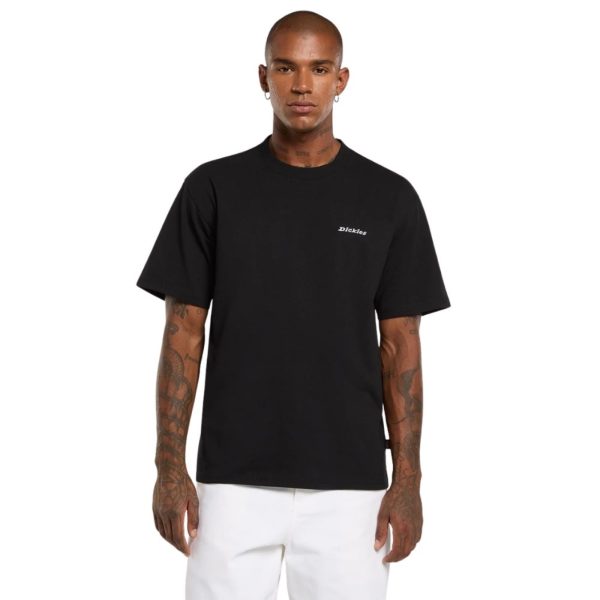 uomo_abbigliamento_tshirt_dickies_dk0a89enblk1p26_49146_551_2_hd.jpg