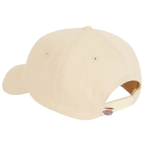 uomo_accessori_cappelli_dickies_dk0a4tkvf901p26_49092_4287_2_hd.jpg