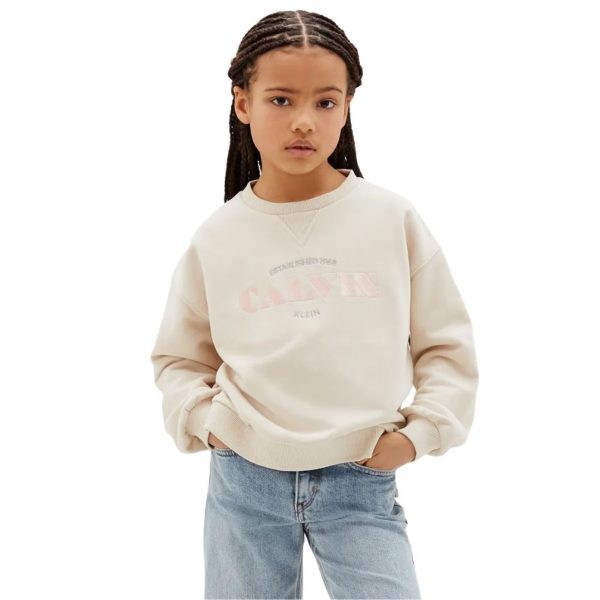 bambina_abbigliamento_felpe_calvinklein_lvcktjb30gpega26_120994_16833_2_hd.jpg
