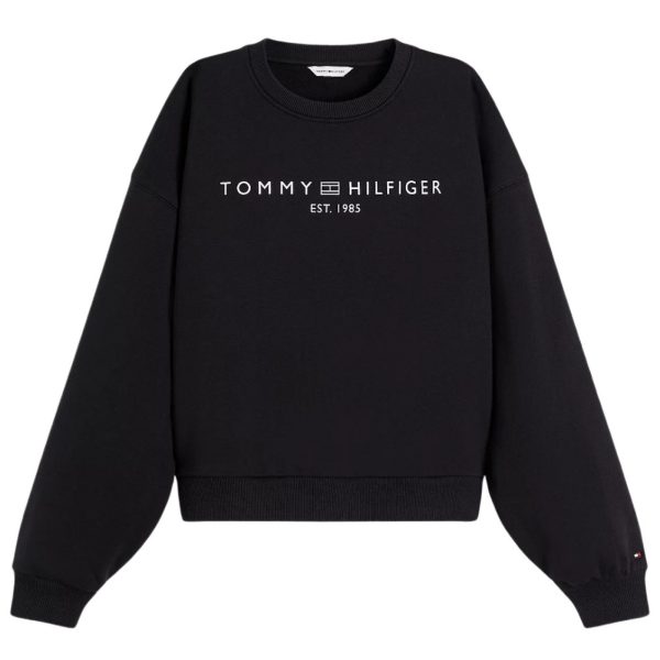 donna_abbigliamento_felpe_tommyhilfiger_ww0ww47831bdsa26_121074_16084_1_hd.jpg