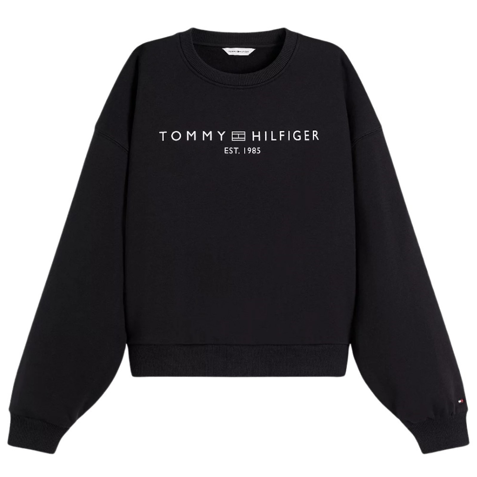 donna_abbigliamento_felpe_tommyhilfiger_ww0ww47831bdsa26_121074_16084_1_hd.jpg