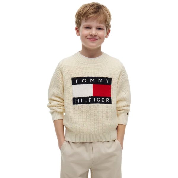 bambino_abbigliamento_maglioni_tommyhilfiger_kb0kb10071ya8a26_120717_16765_2_hd.jpg