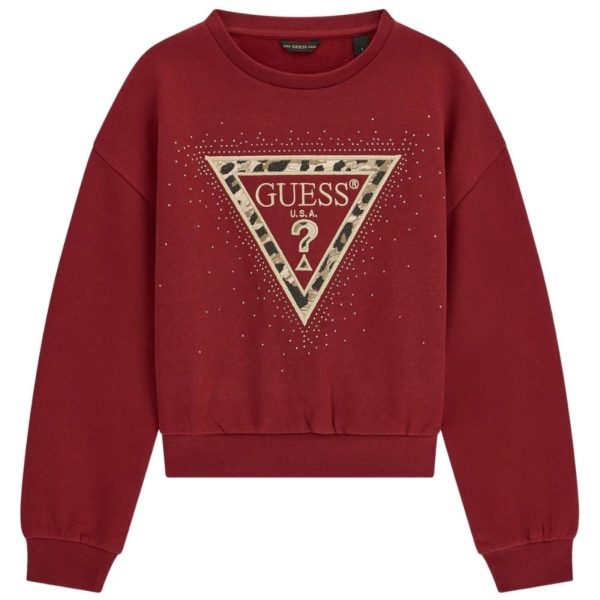 bambina_abbigliamento_felpe_guess_j6bq07k6093a26_123326_17359_1_hd.jpg