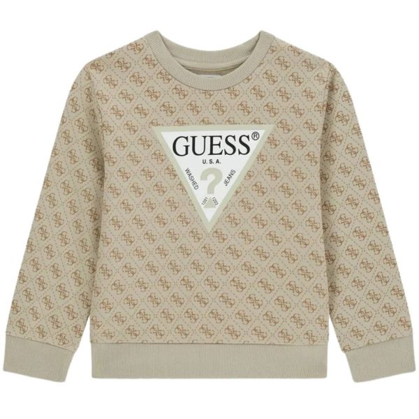 bambino_abbigliamento_felpe_guess_n6yq07k4100a26_123593_17461_1_hd.jpg