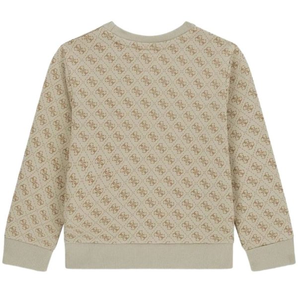bambino_abbigliamento_felpe_guess_n6yq07k4100a26_123593_17461_2_hd.jpg