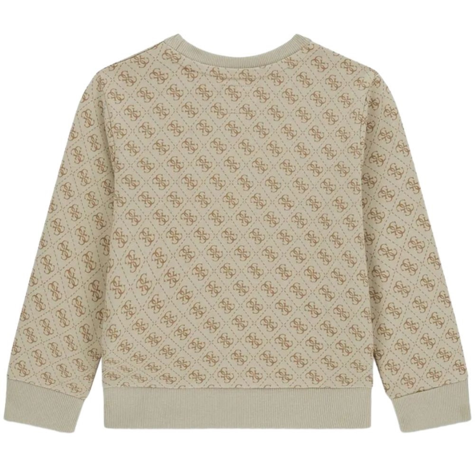 bambino_abbigliamento_felpe_guess_n6yq07k4100a26_123593_17461_2_hd.jpg