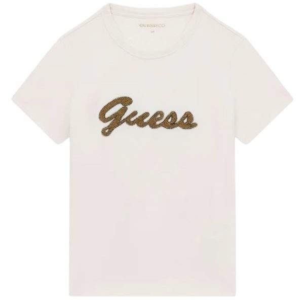 donna_abbigliamento_tshirt_guess_w6yi29k4348a26_123866_17355_1_hd.jpg