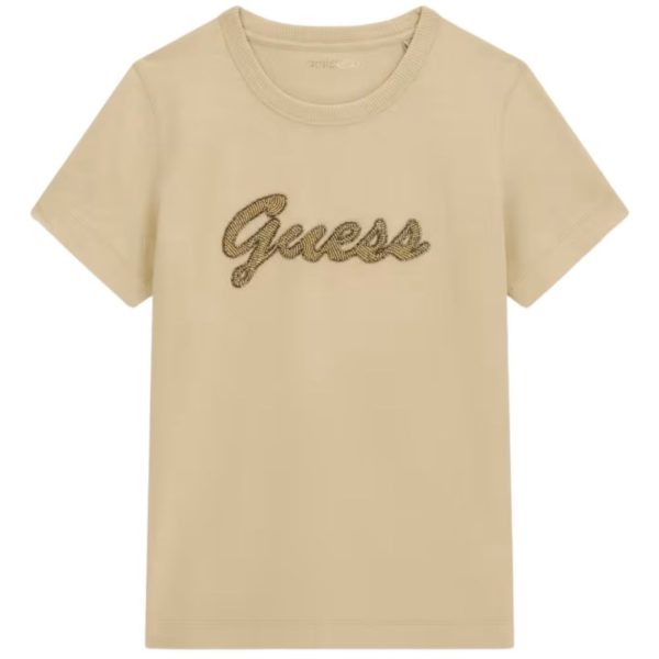 donna_abbigliamento_tshirt_guess_w6yi29k4348a26_123866_17686_1_hd.jpg