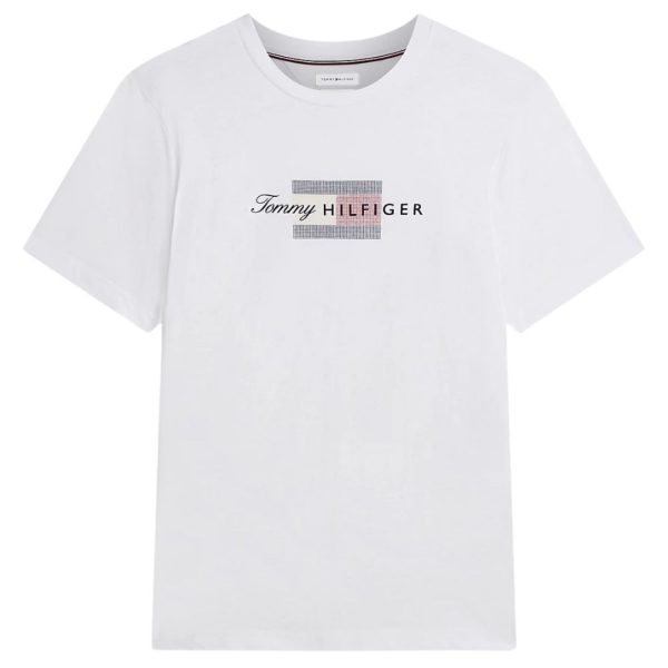 uomo_abbigliamento_tshirt_tommyhilfiger_mw0mw43226ybra26_121056_16083_1_hd.jpg