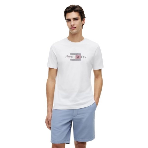 uomo_abbigliamento_tshirt_tommyhilfiger_mw0mw43226ybra26_121056_16083_2_hd.jpg