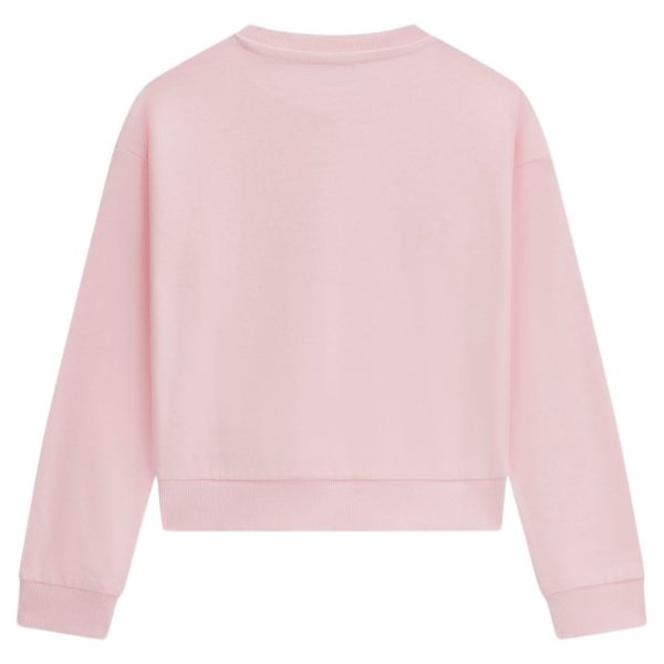 bambina_abbigliamento_felpe_guess_j6yq05k3899a26_123363_17362_2_hd.jpg
