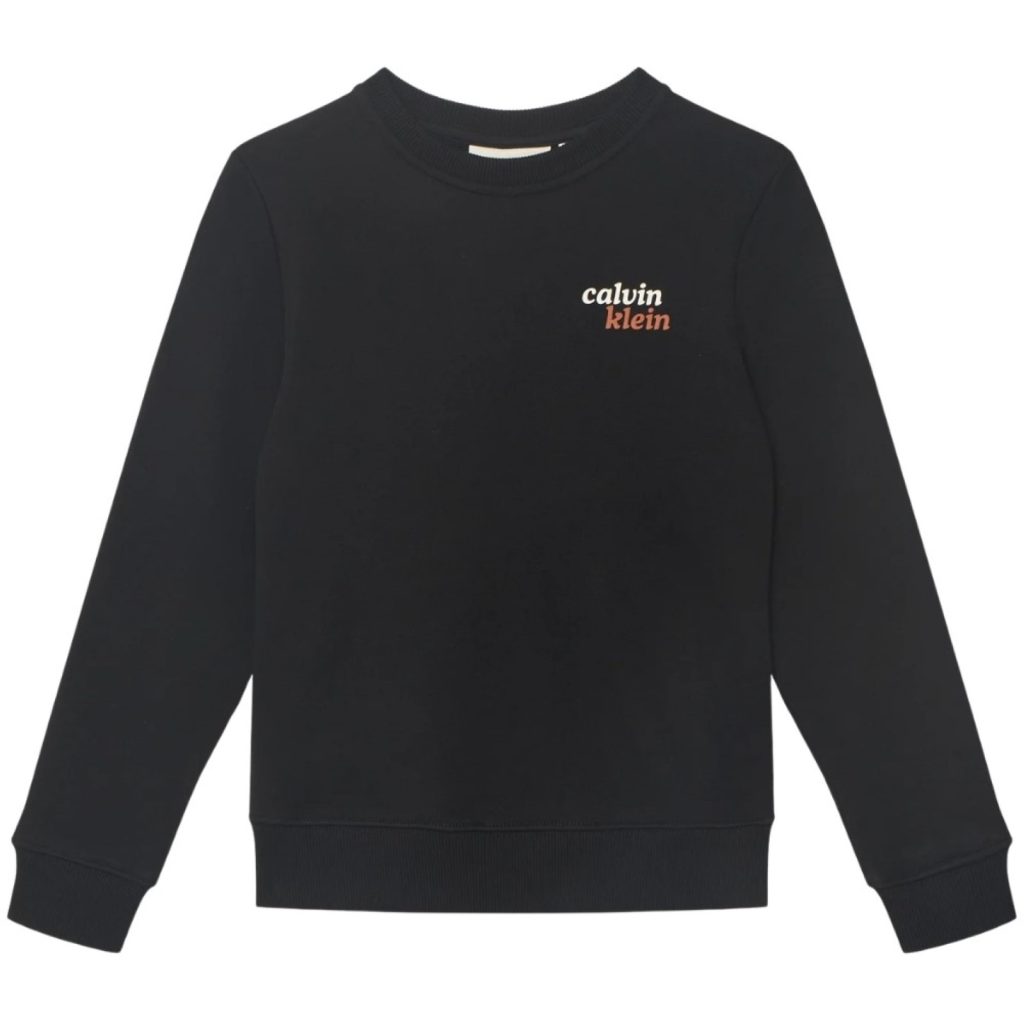 bambino_abbigliamento_felpe_calvinklein_lvcktjb42bbeha26_120999_16826_1_hd.jpg