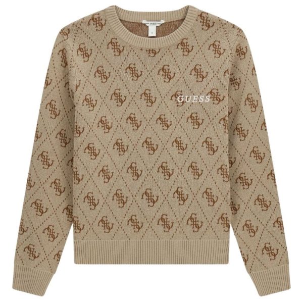bambino_abbigliamento_maglioni_guess_l6yr15z0893a26_123459_17503_1_hd.jpg