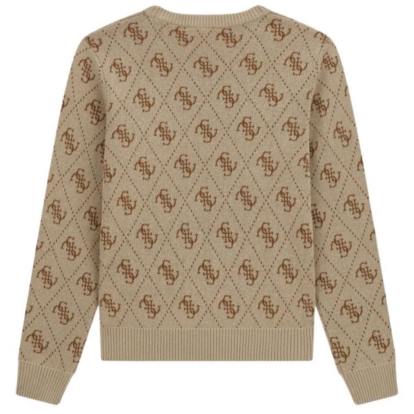 bambino_abbigliamento_maglioni_guess_l6yr15z0893a26_123459_17503_2_hd.jpg