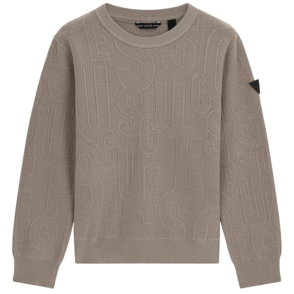 bambino_abbigliamento_maglioni_guess_l6br04z1590a26_123446_17499_1_hd.jpg