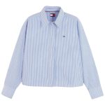 BLING BLUE STRIPE