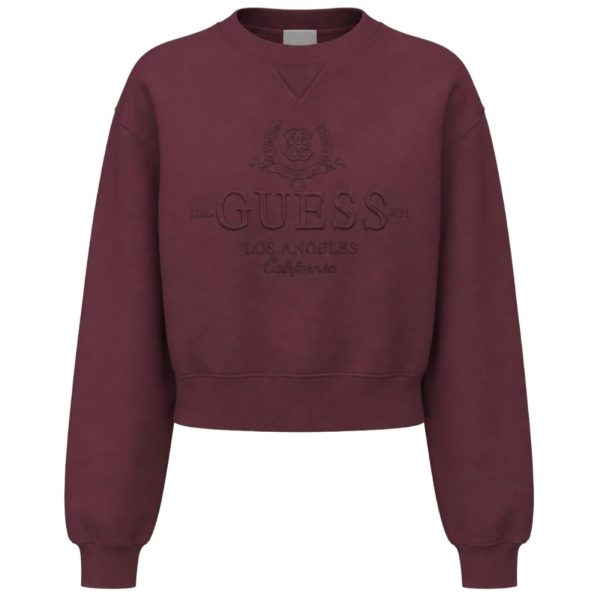 donna_abbigliamento_felpe_guess_v6bq05k6264a26_123715_17419_1_hd.jpg