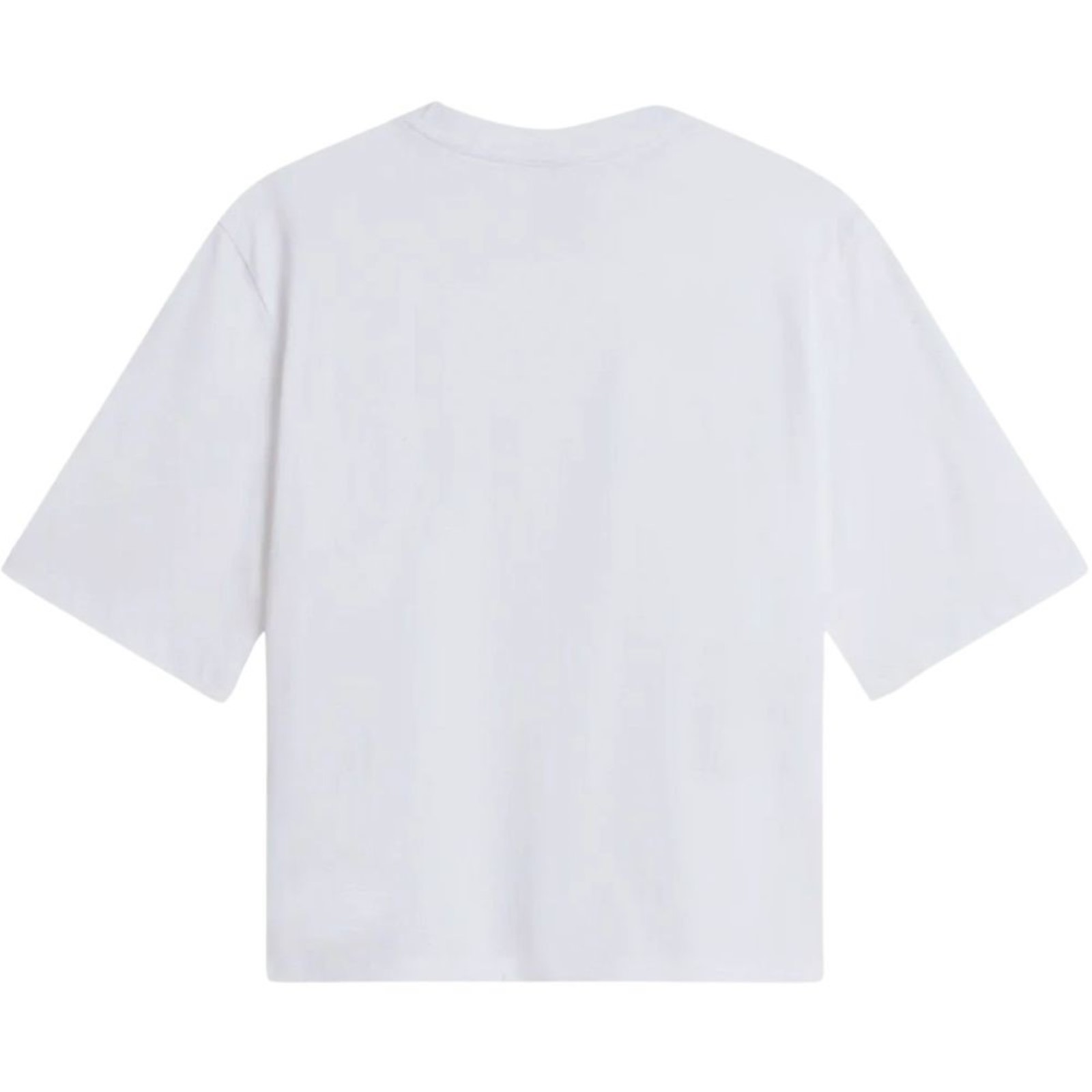 donna_abbigliamento_tshirt_thenorthface_nf0a8h71fn41a26_126790_18220_2_hd.jpg