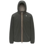 GREEN BLACKISH - GR