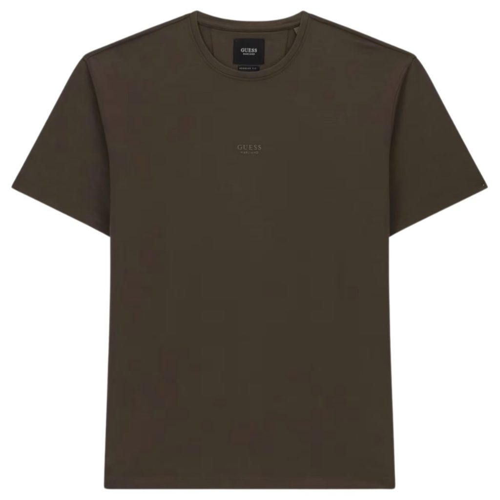 uomo_abbigliamento_tshirt_guess_m6bp18k6209a26_123485_17523_1_hd.jpg
