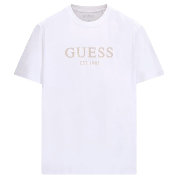 uomo_abbigliamento_tshirt_guess_m6yi41k4227a26_123529_16969_1_hd.jpg