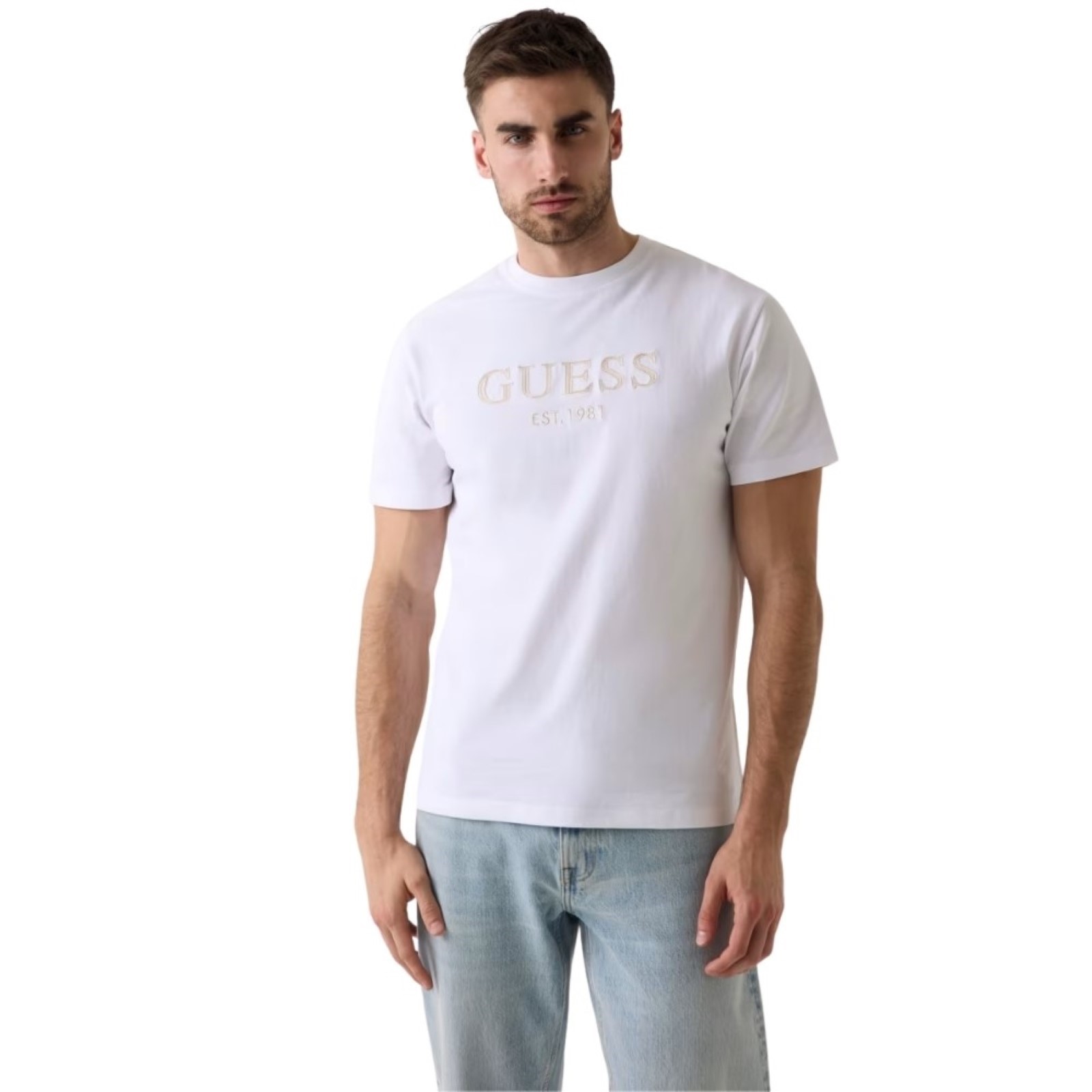 uomo_abbigliamento_tshirt_guess_m6yi41k4227a26_123529_16969_2_hd.jpg