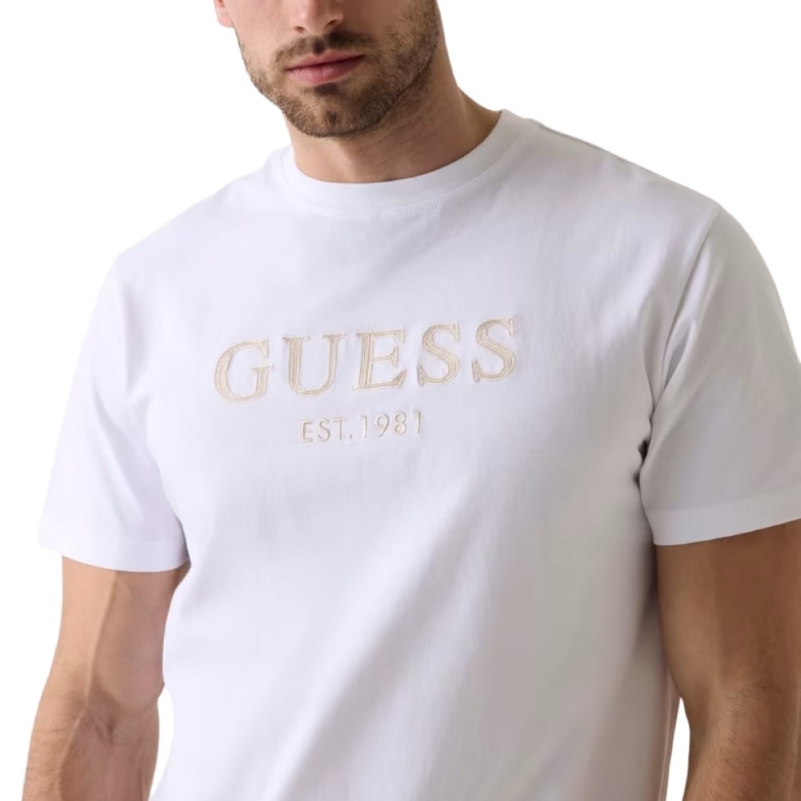 uomo_abbigliamento_tshirt_guess_m6yi41k4227a26_123529_16969_4_hd.jpg