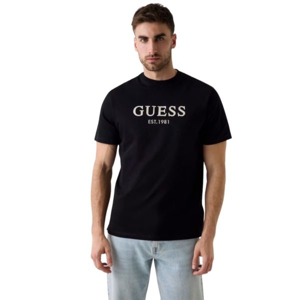 uomo_abbigliamento_tshirt_guess_m6yi41k4227a26_123529_16970_2_hd.jpg